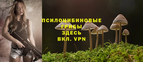 дмт Абдулино