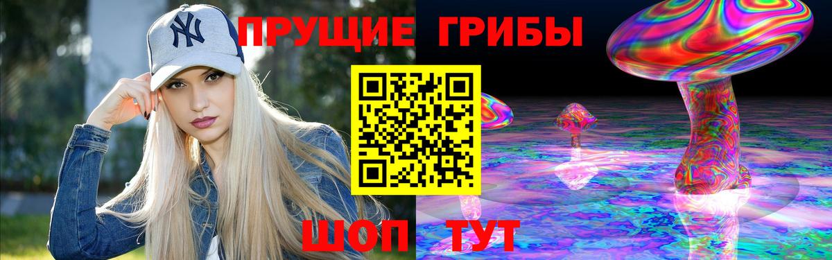 Тольятти  Псилоцибиновые грибы Psilocybe  Вход с VPN 