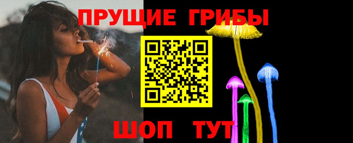 Галлюциногенные грибы Psilocybine cubensis Тольятти