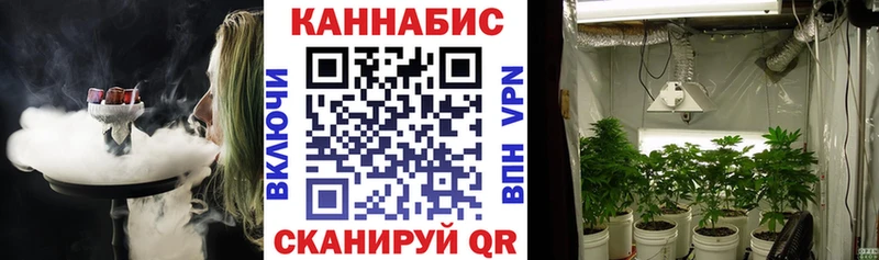 Бошки Шишки марихуана  Тольятти 